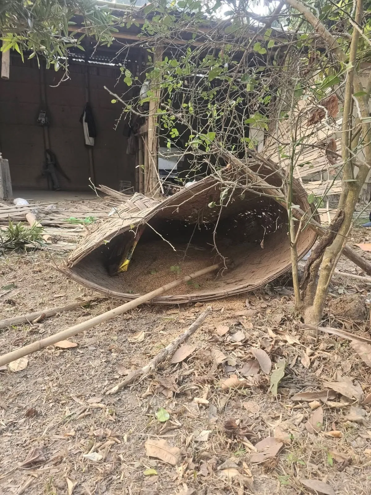 a785c168-435c-4cb8-9ba7-e89db6920bca