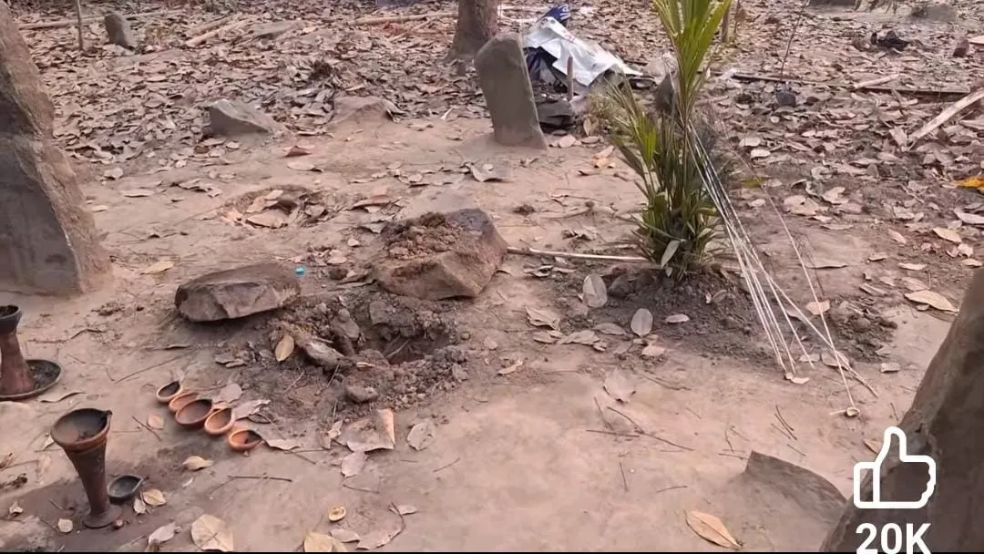 87ad26c6-a544-4b08-9bac-fd84fc20b3a3