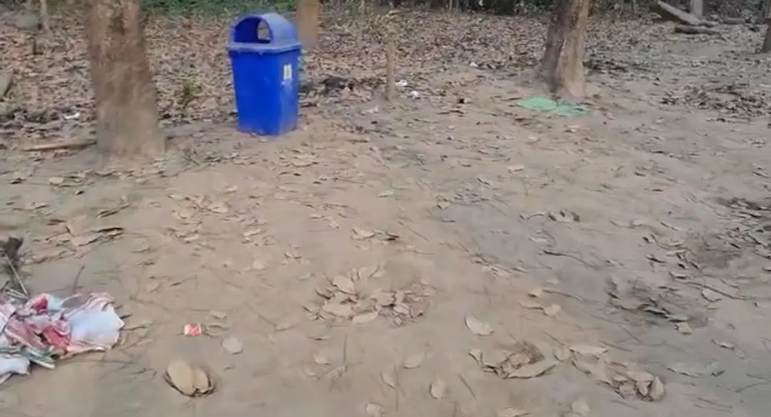 bc696bbc-7bad-43e0-9f0d-6dcd7208364f