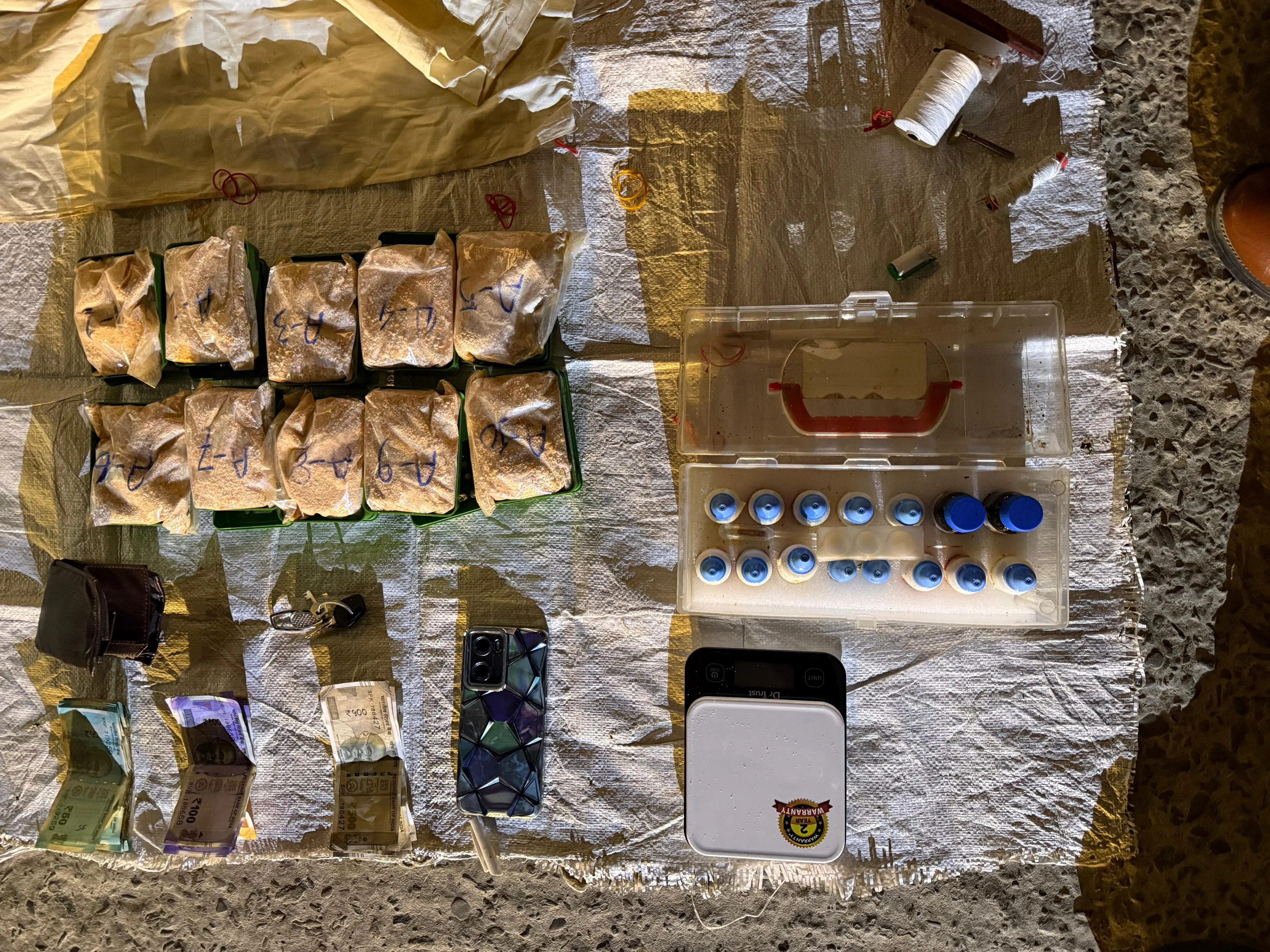 WhatsApp Image 2026-02-03 at 11.09.17 AM