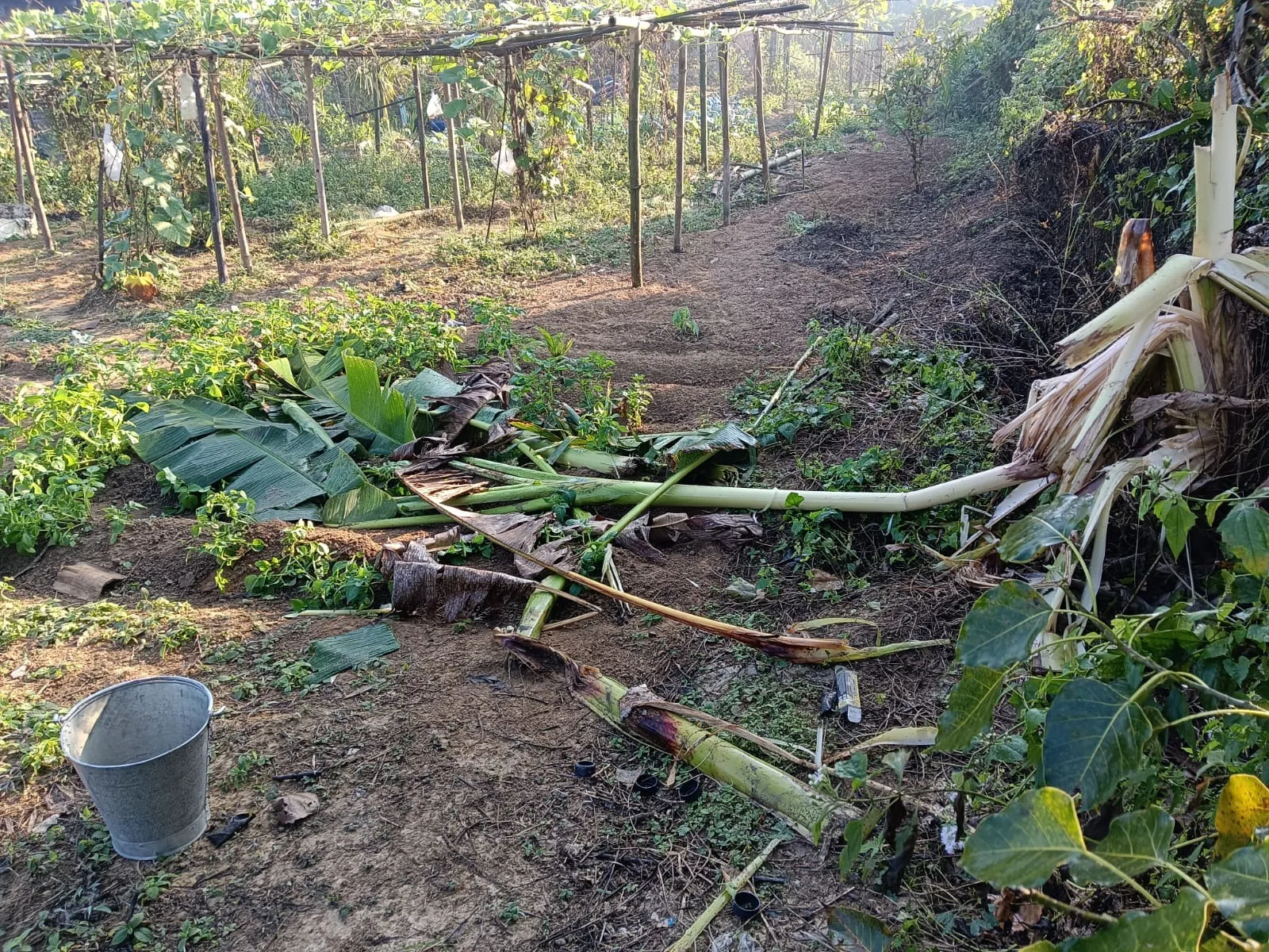 WhatsApp Image 2026-02-03 at 7.48.01 PM (1)