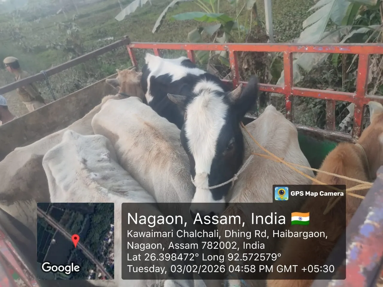 WhatsApp Image 2026-02-04 at 12.27.18 PM (3)