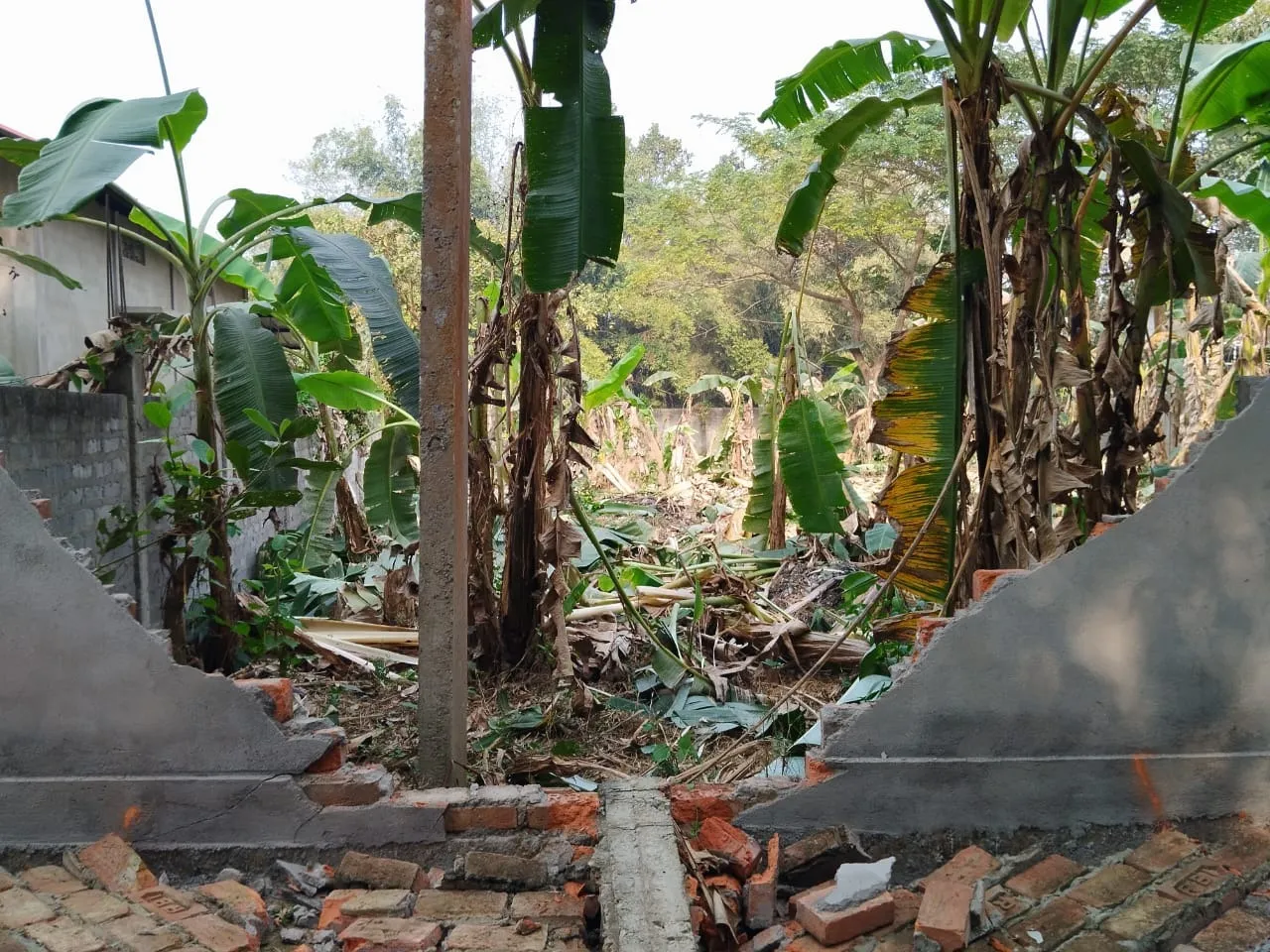 WhatsApp Image 2026-02-09 at 9.47.12 PM (1)