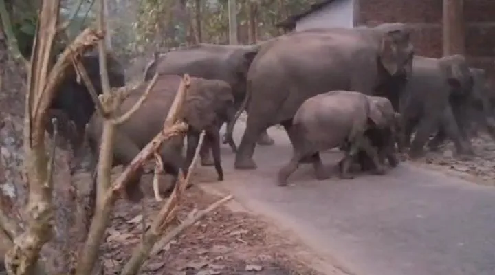 WhatsApp Image 2026-02-09 at 9.47.13 PM (1)