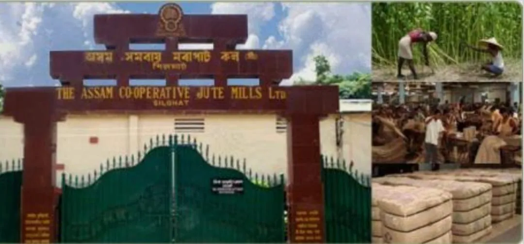 WhatsApp Image 2026-02-13 at 7.34.14 PM