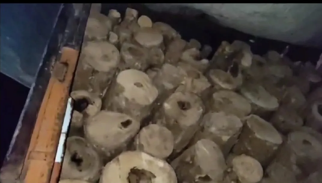 WhatsApp Image 2026-02-14 at 10.34.16 PM