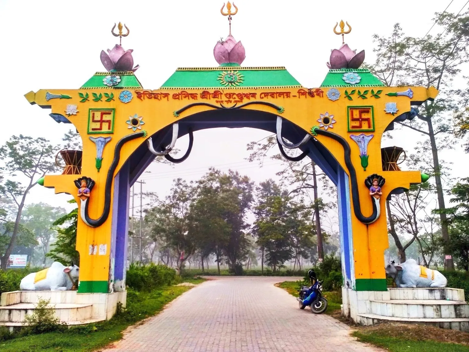 WhatsApp Image 2026-02-15 at 3.40.30 PM