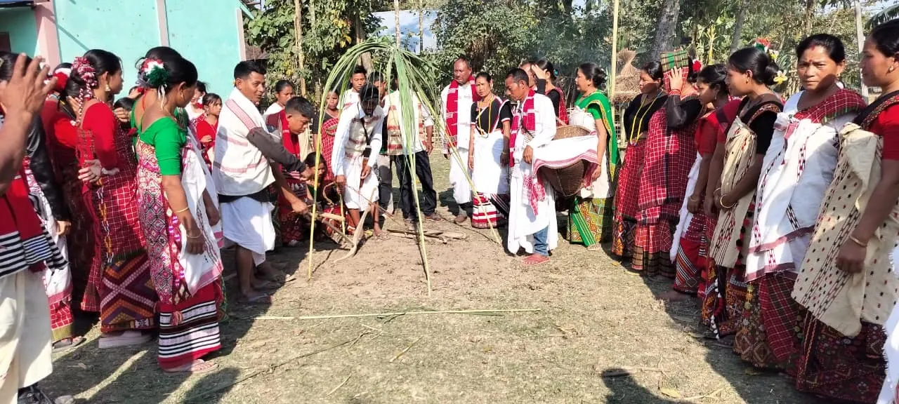 WhatsApp Image 2026-02-18 at 6.51.21 PM