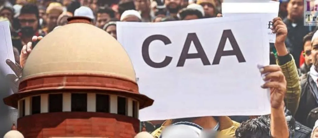 WhatsApp Image 2026-02-19 at 12.31.56 PM