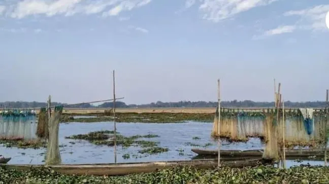 WhatsApp Image 2026-02-20 at 5.49.06 PM