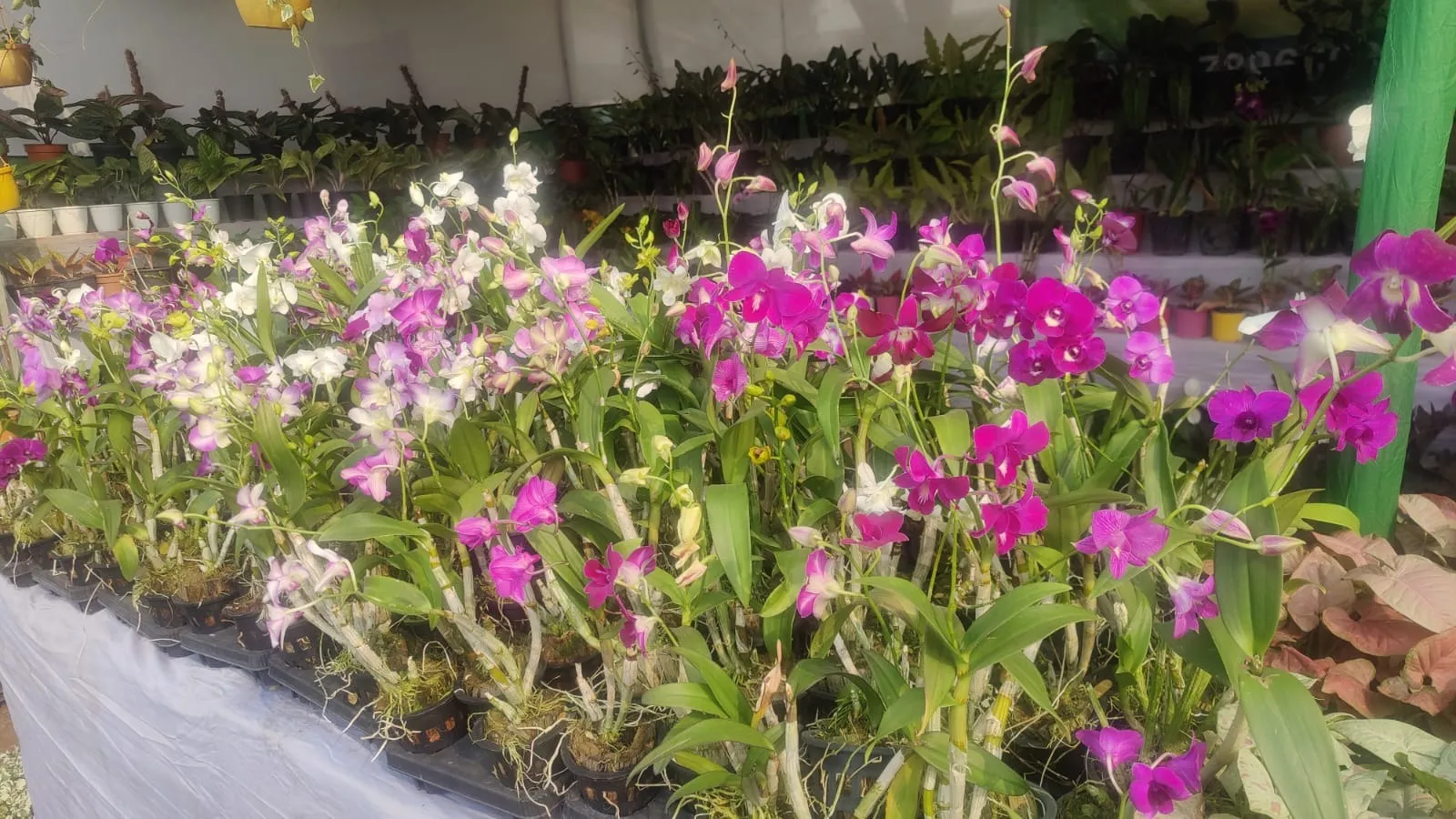 WhatsApp Image 2026-02-27 at 3.47.31 PM