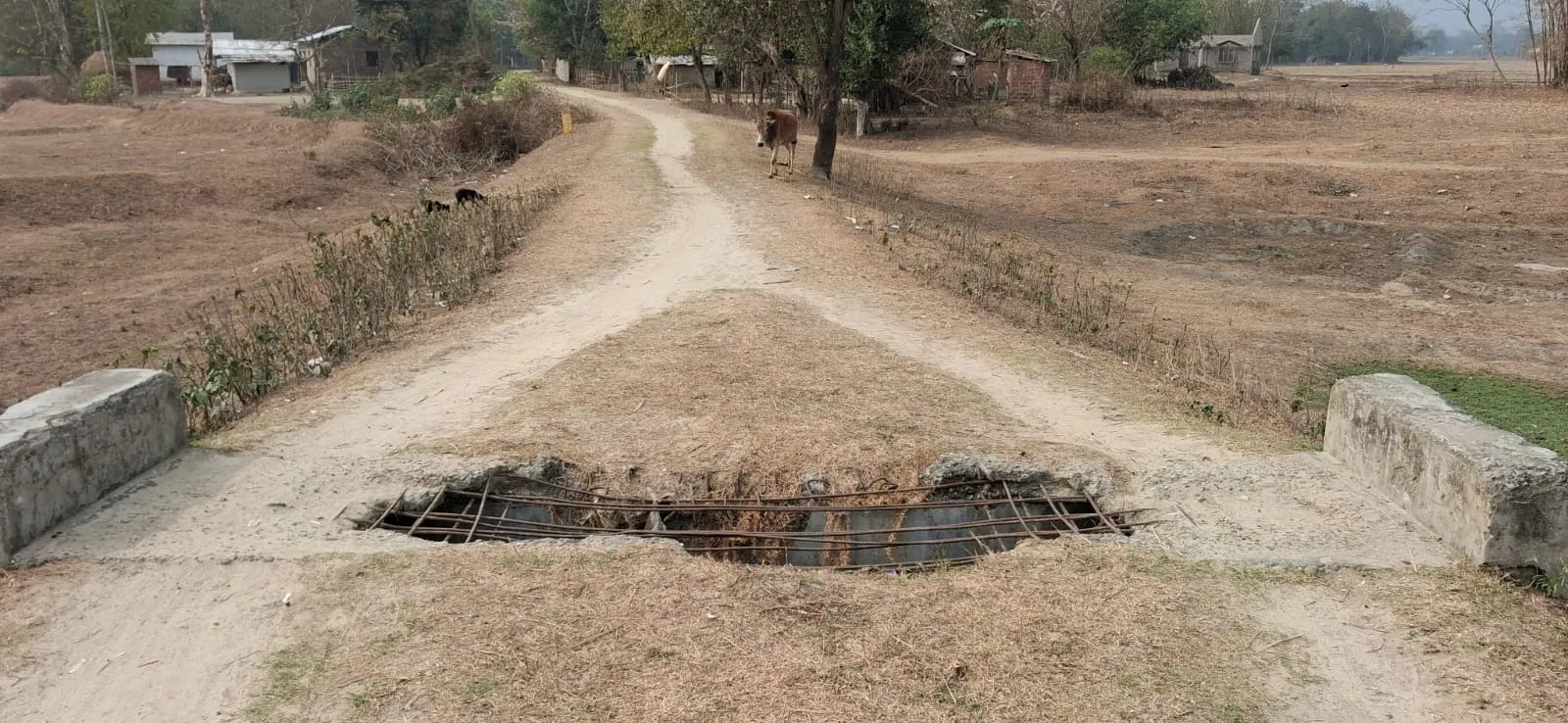 WhatsApp Image 2026-03-01 at 9.30.56 PM