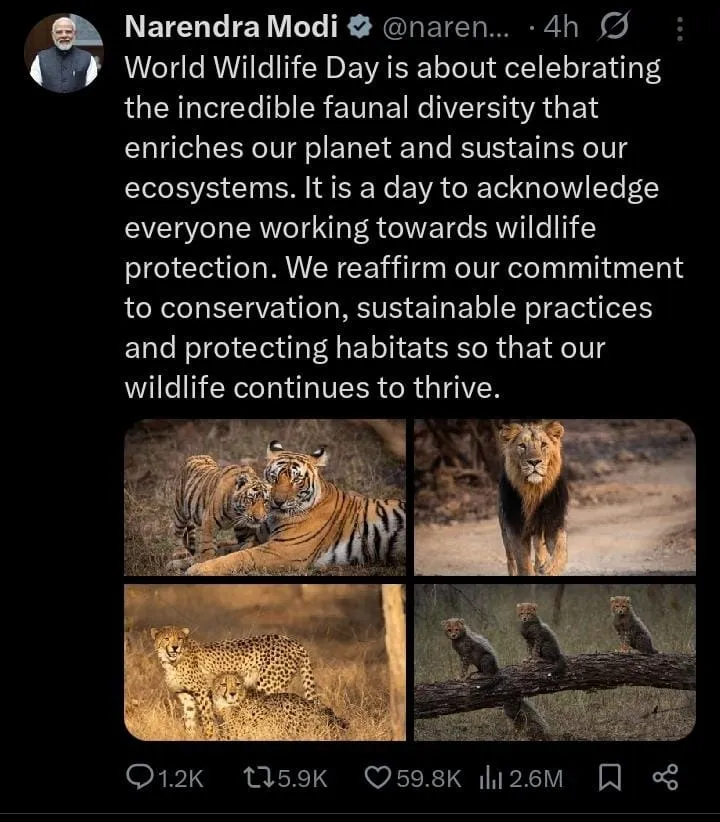 WhatsApp Image 2026-03-03 at 12.46.35 PM