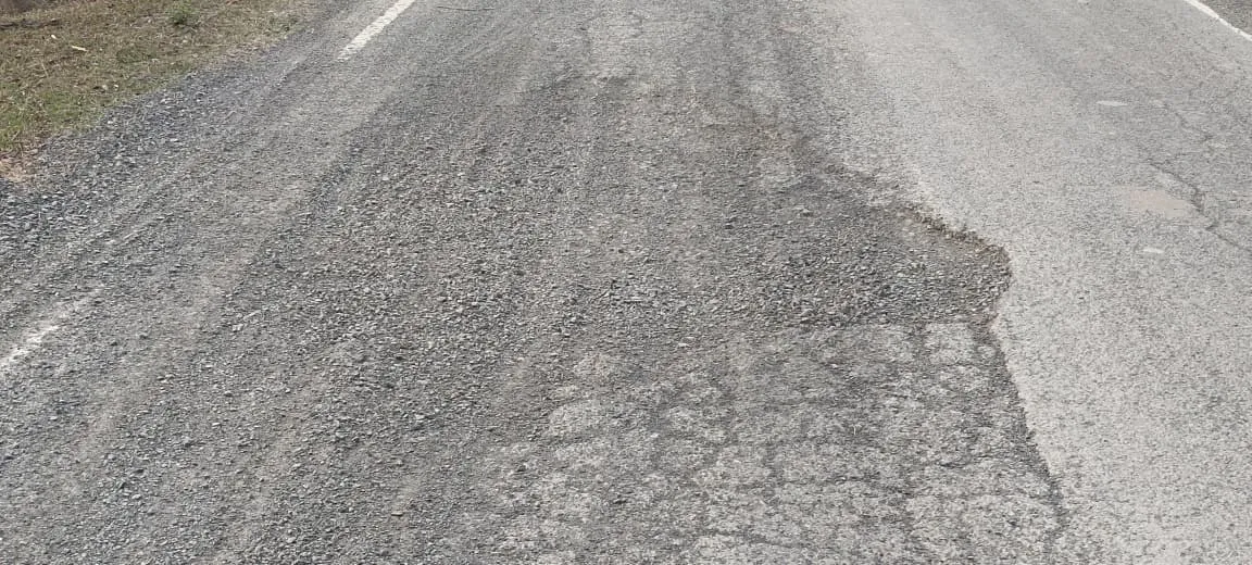 WhatsApp Image 2026-03-08 at 6.50.51 PM