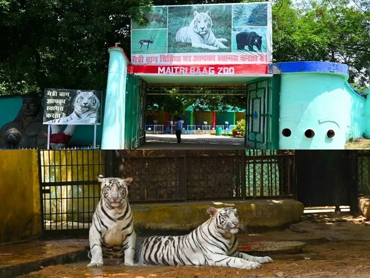 Maitribag Zoo