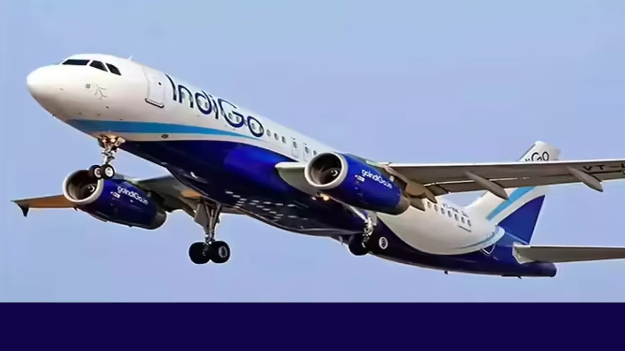 indigo flight cancle