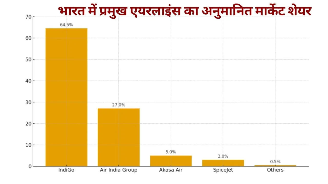 Indigo Flight Crisis cause and responsible Civil Aviation Ministry IAS Anil Shrivastava hindi news