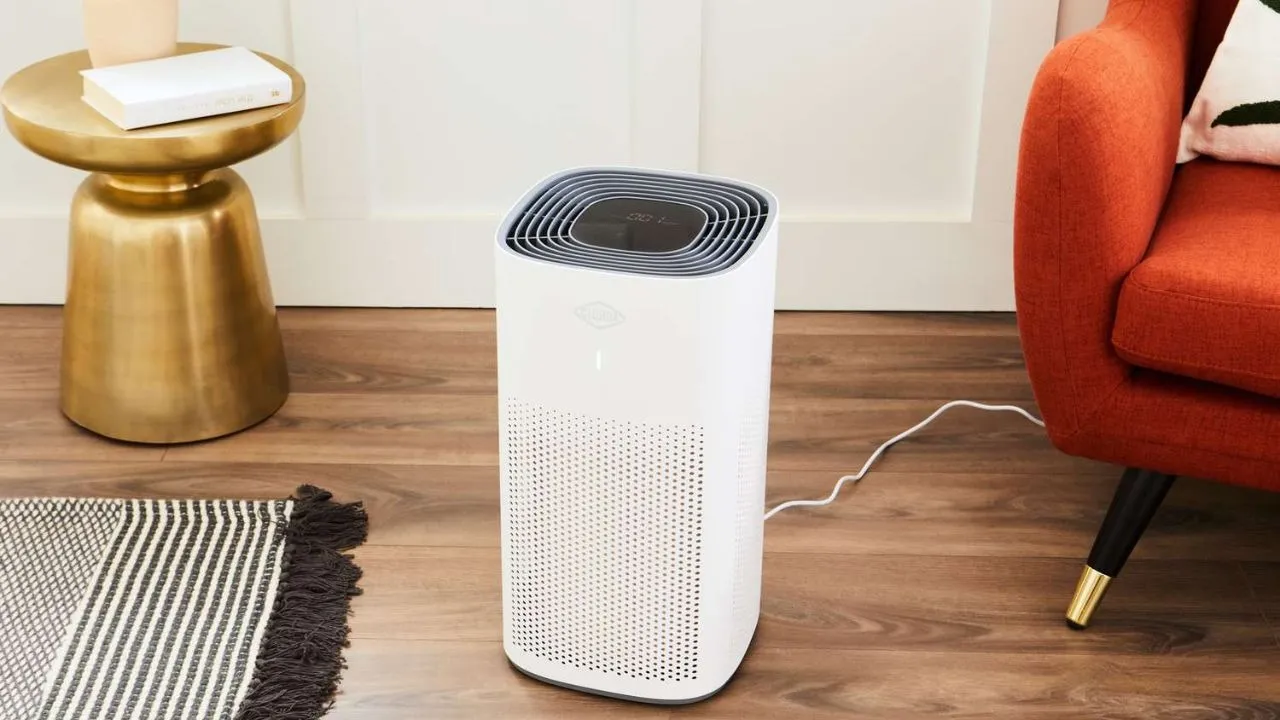 air purifier (1)