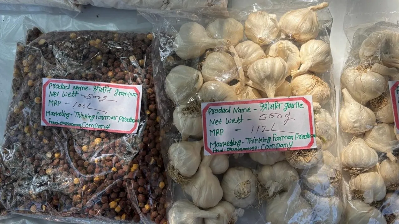 bhopal jaivik utsav lehsun