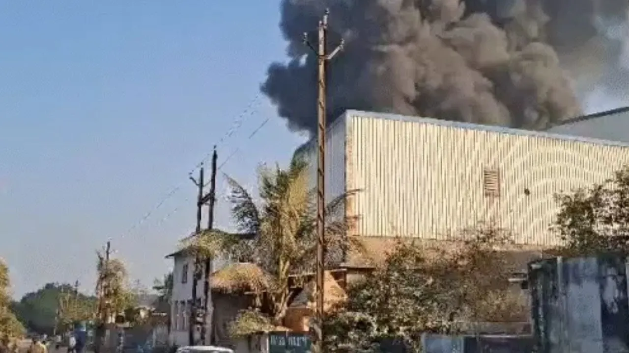 Bilaspur Furniture Factory Fire