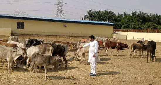 bhopal arvaliya goushala