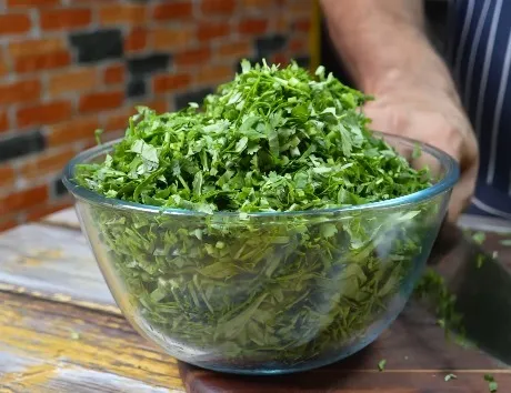 WhatsApp Image 2026-01-13 at 5.28.07 PM