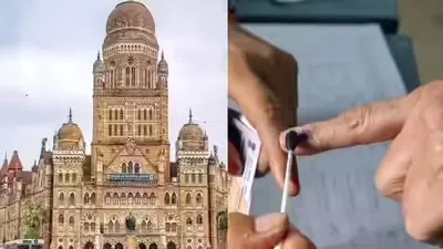 bmc election
