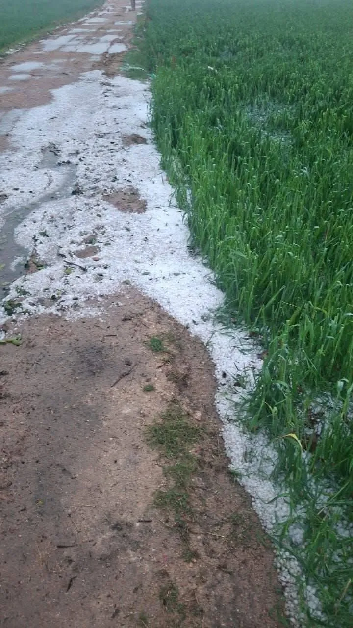 Gwalior Dabra Weather