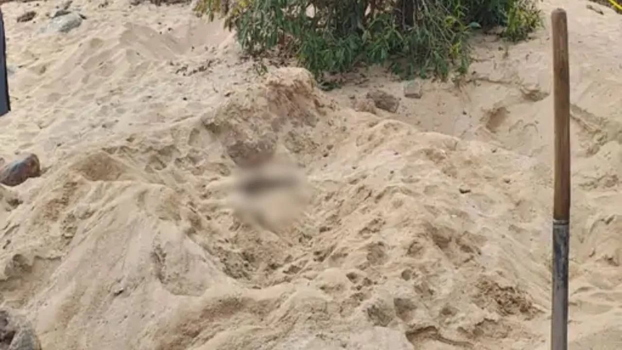 cg News - 2026-02-05T150605.227