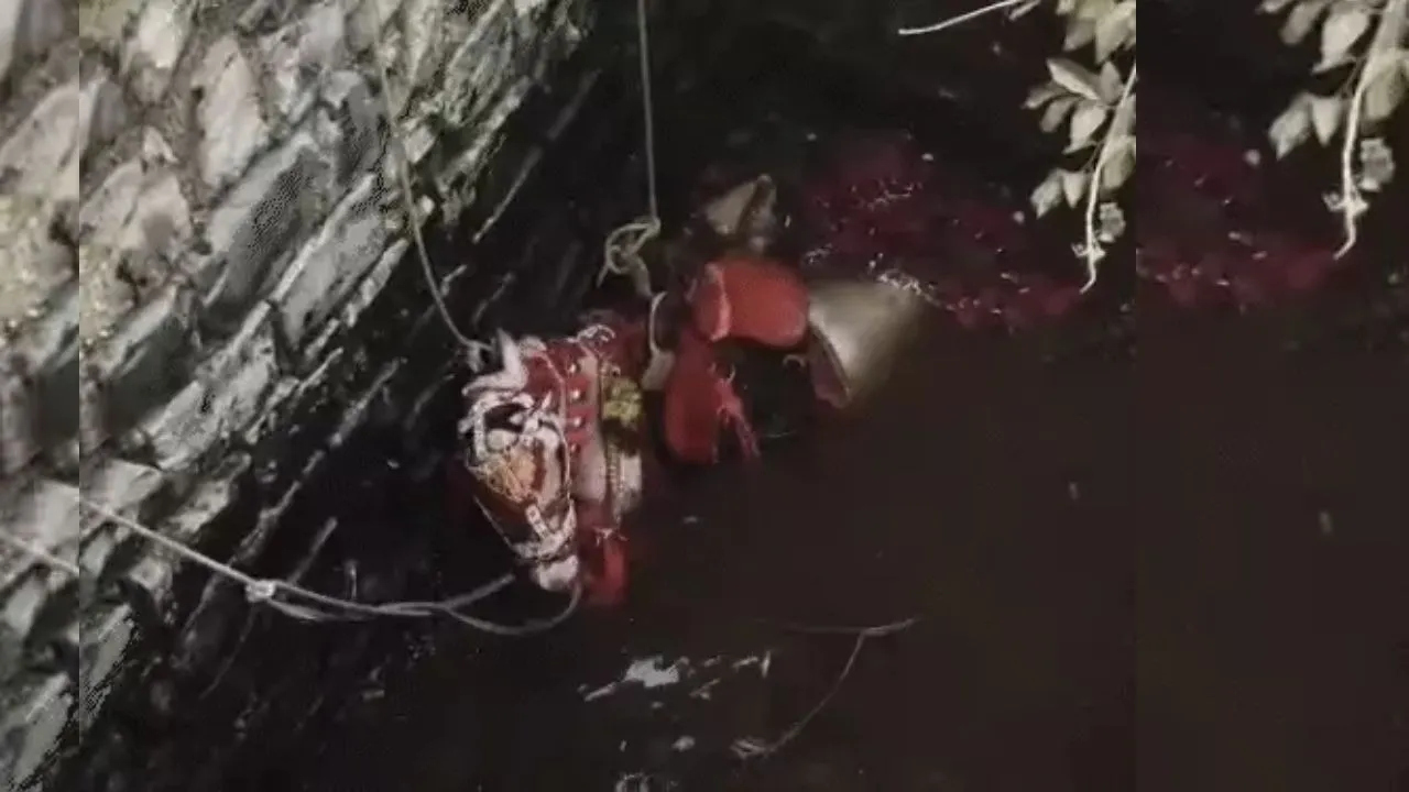 khandwa Wedding Accident Horse