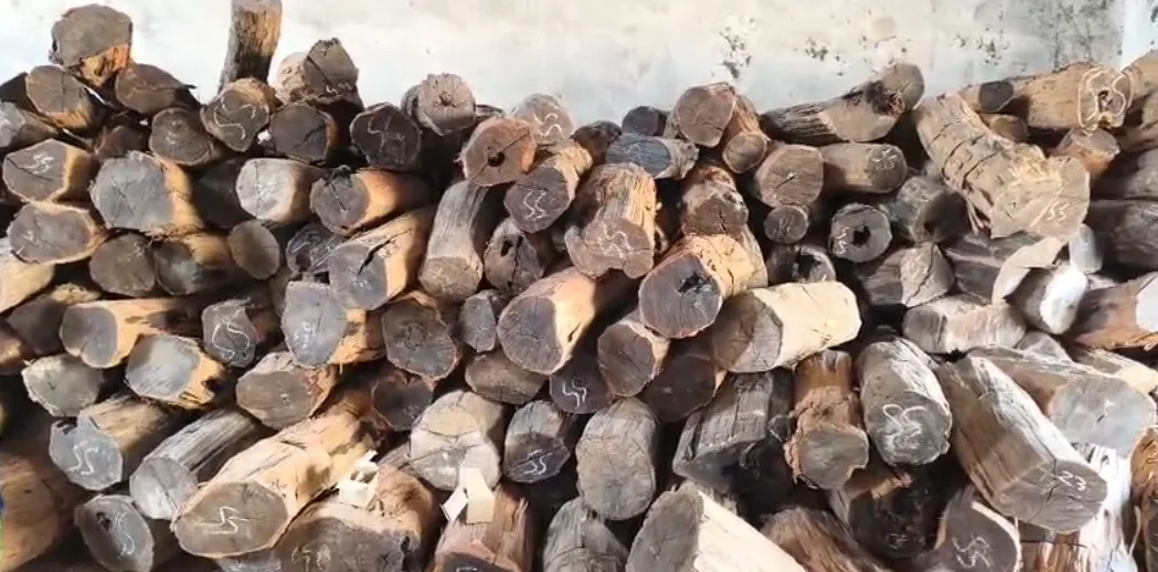 Screenshot 2026-02-17 173214