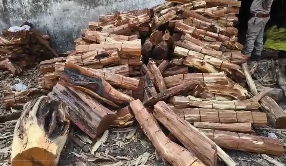 Screenshot 2026-02-17 173223