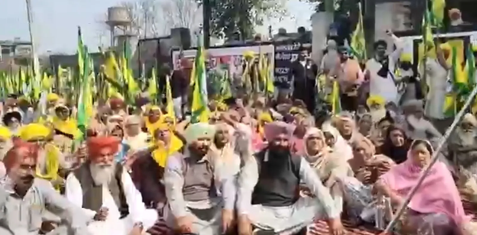 WhatsApp Image 2026-02-18 at 3.40.20 PM