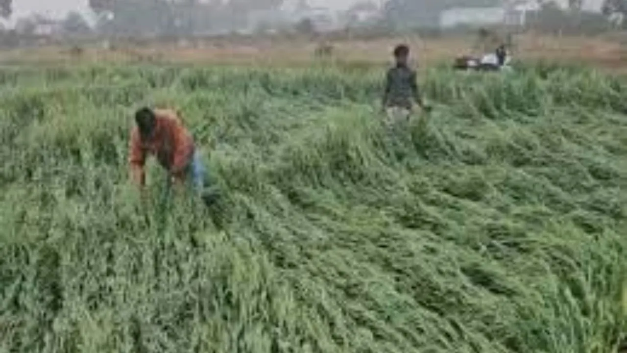 MP Vidhan Sabha Budget Session