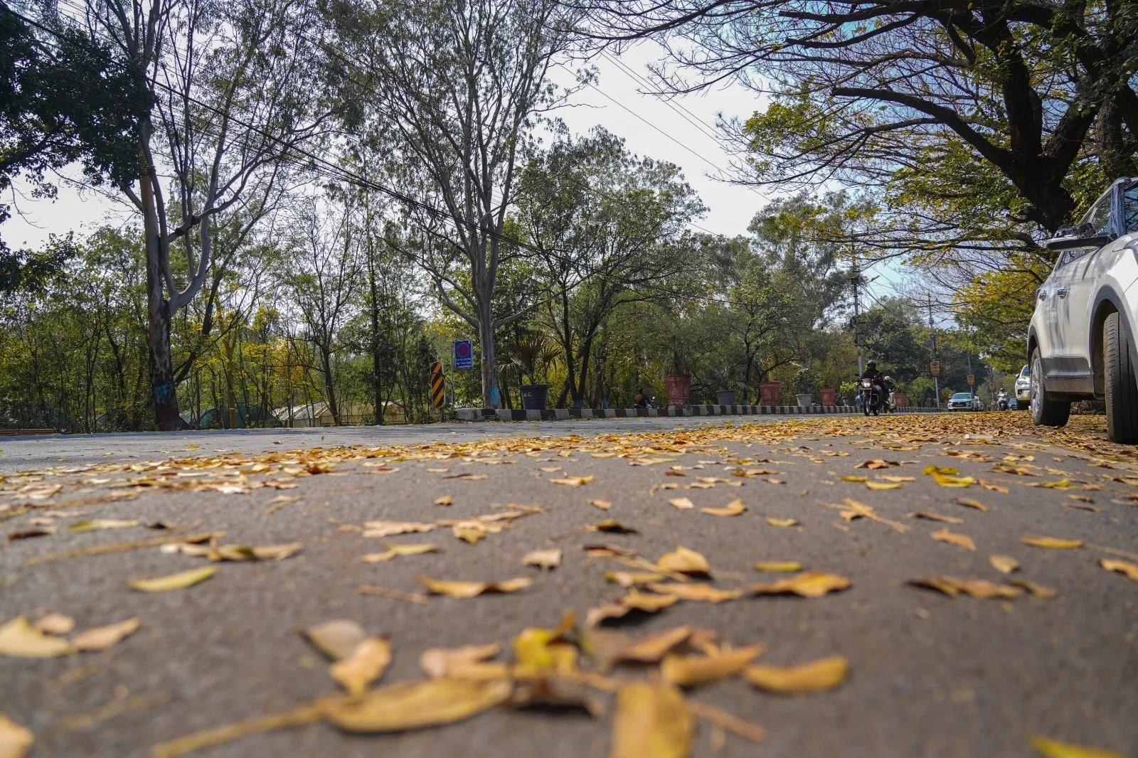 mp ka mousam ritu parivartan patjhad