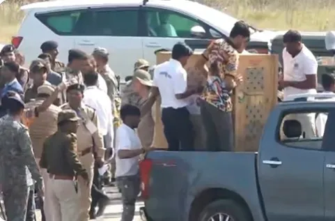 Kuno National Park Cheetahs