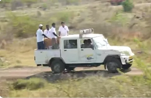 Kuno National Park Cheetahs