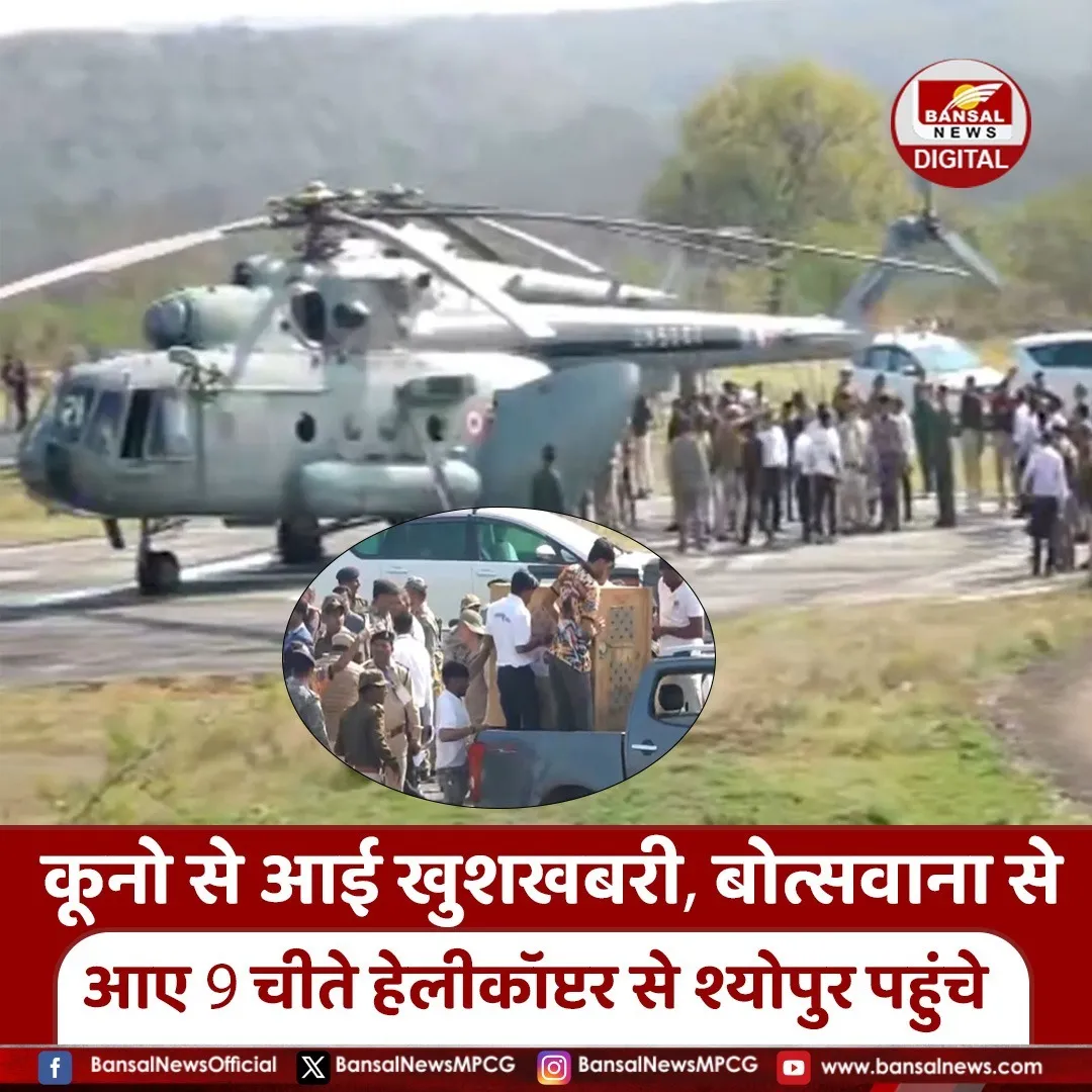 Kuno National Park Cheetahs