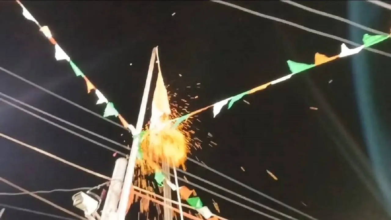 purnia tiranga 333