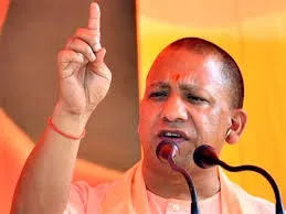 yogi
