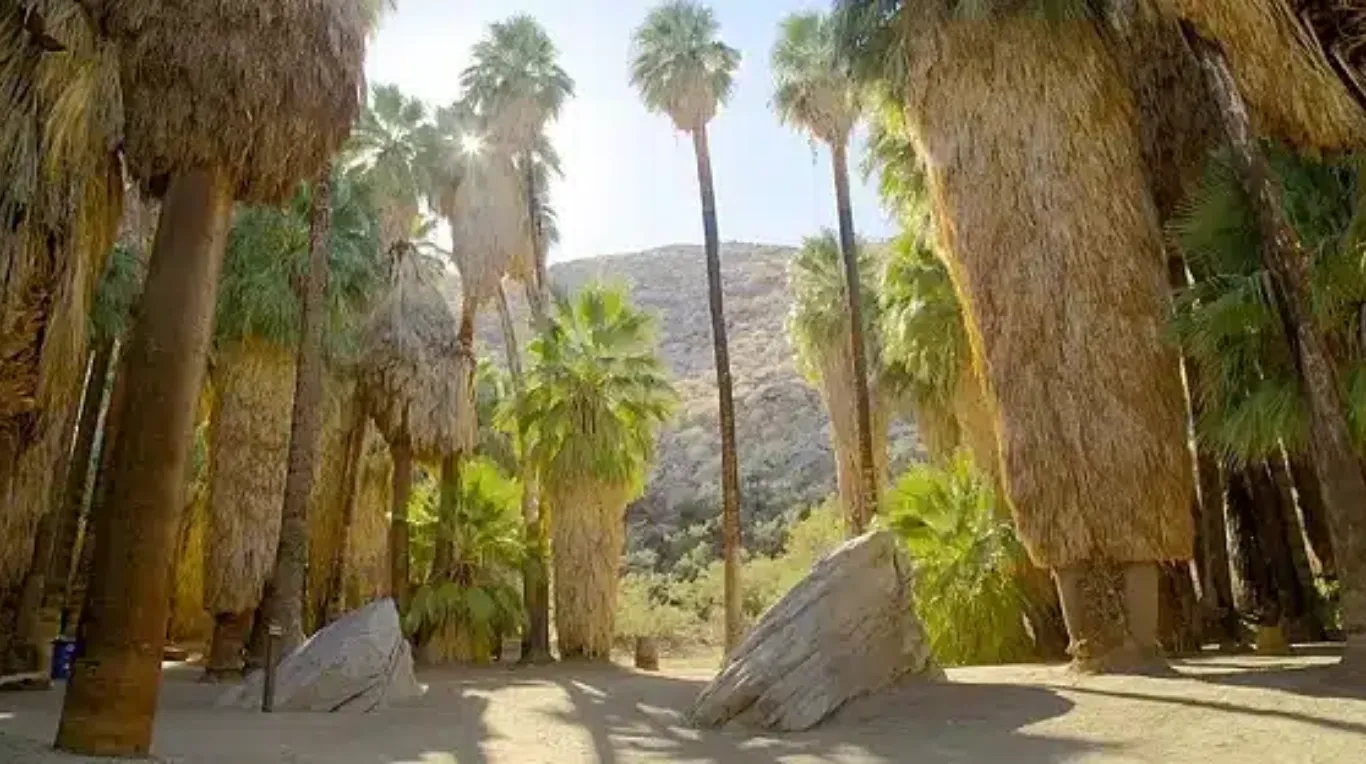 Indian Canyons