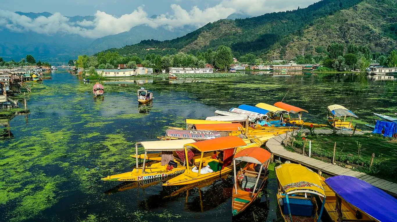 Srinagar