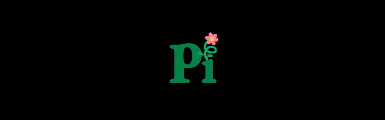 Pi AI