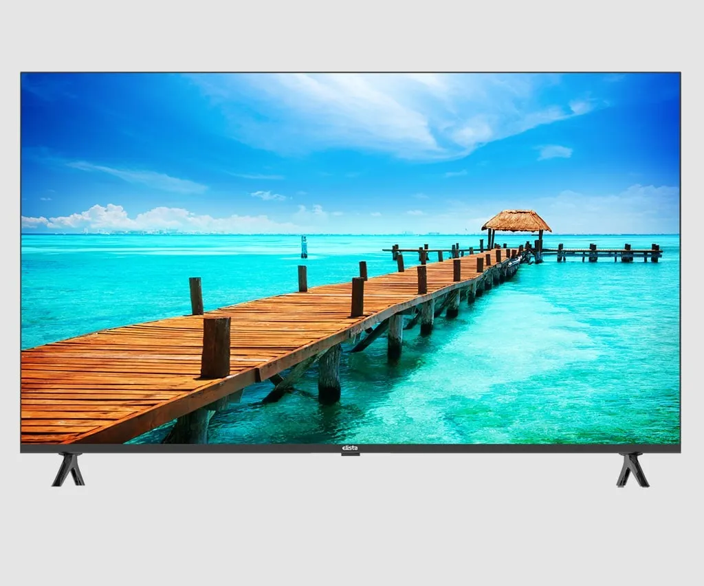 Elista's Google TV 65 inch