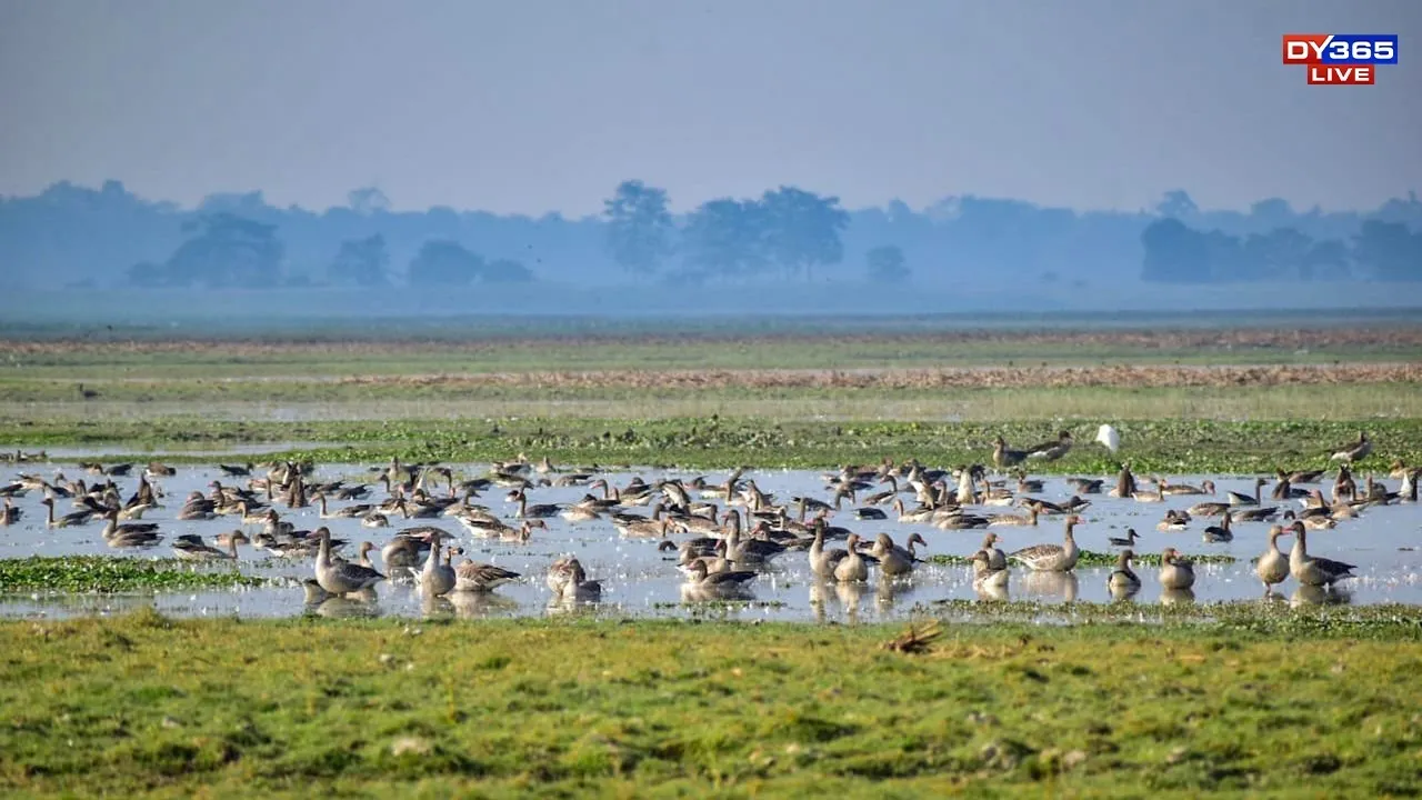 WhatsApp Image 2025-12-03 at 12.04.06 PM (1)