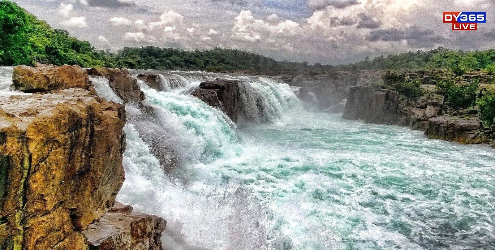 WhatsApp Image 2025-12-03 at 12.04.06 PM (2)