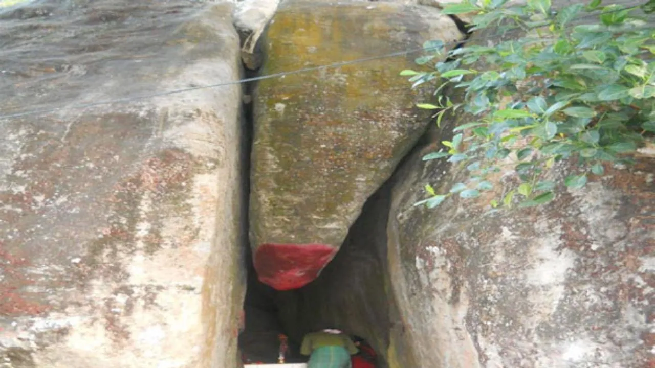 Untitled design (16)