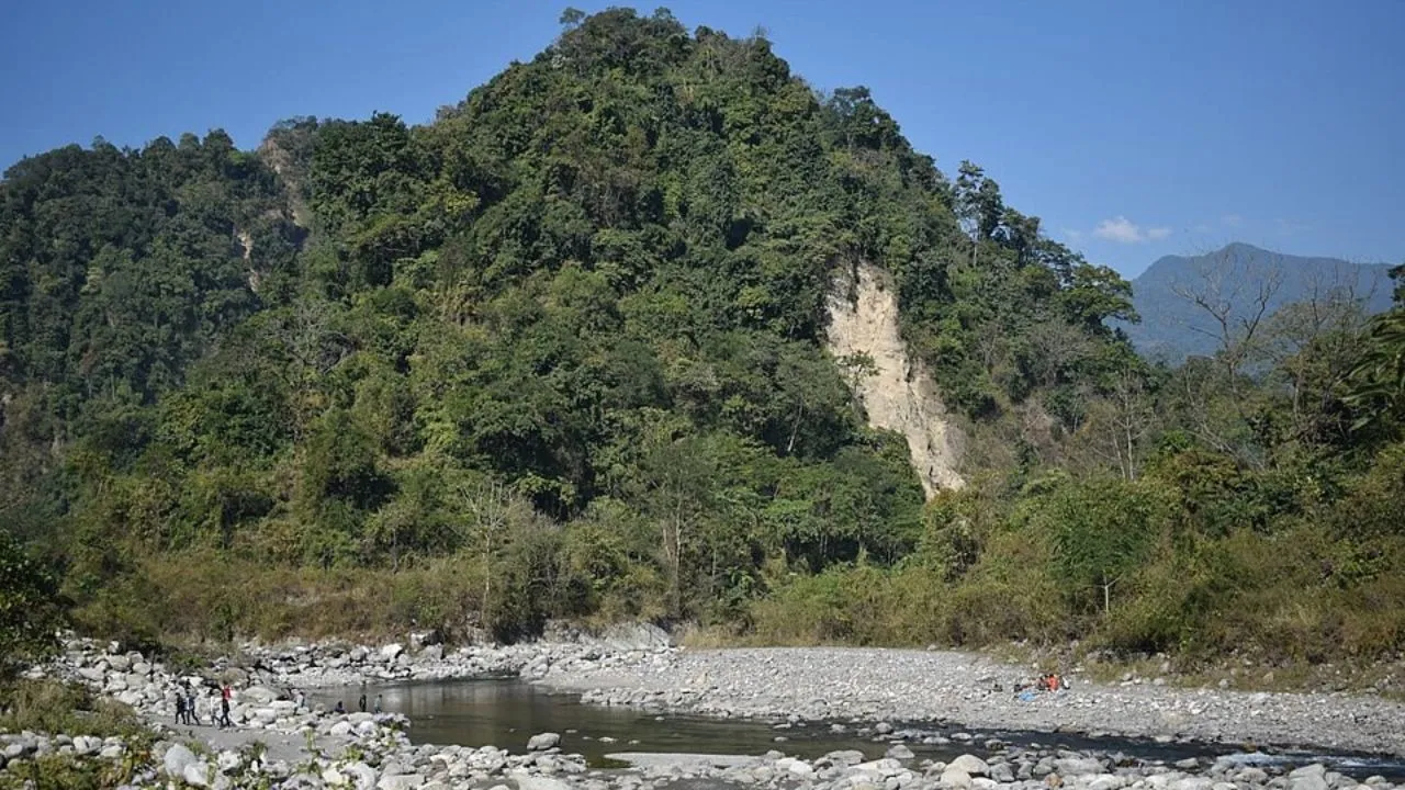 Untitled design (17)