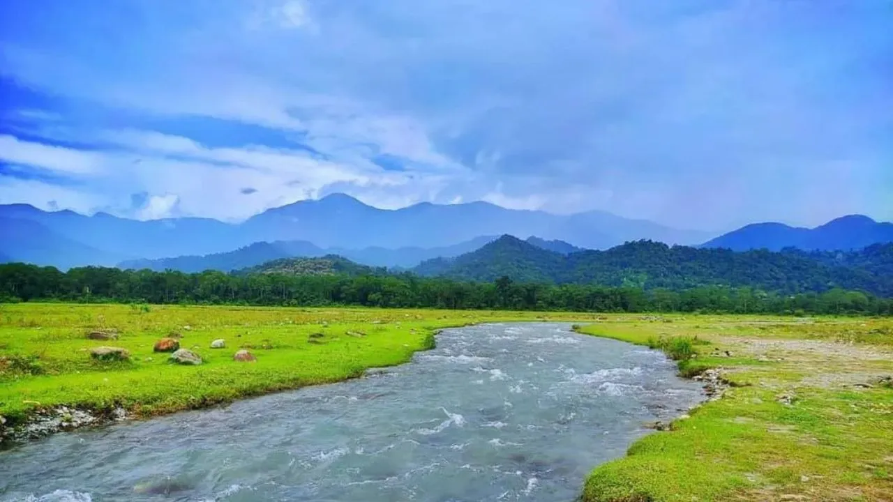 Untitled design (18)