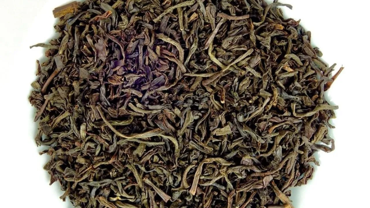 Untitled design (55)